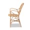 Baxton Studio Genna Modern Bohemian Natural Brown Finished Rattan Dining Chair 205-12675 - alternate 8